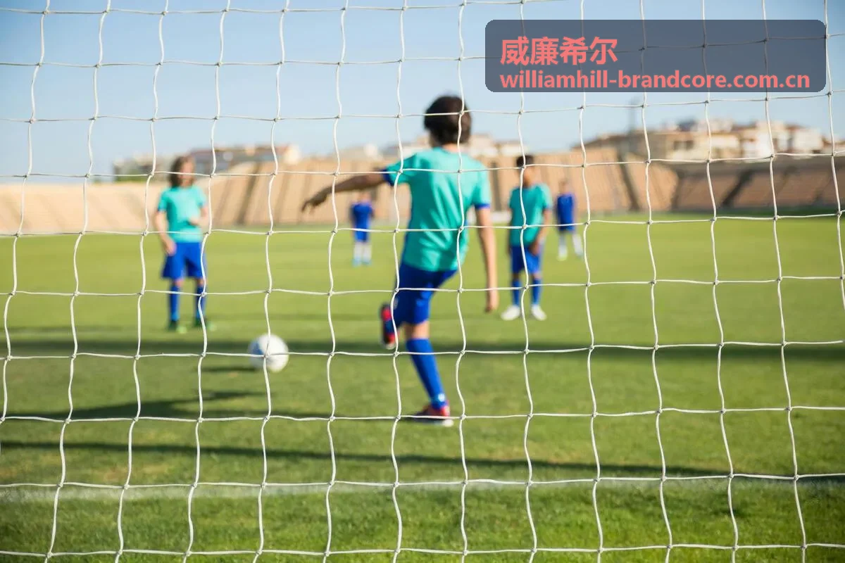 威廉希尔市场洞察报告
